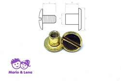 Book Screws brassed Gold